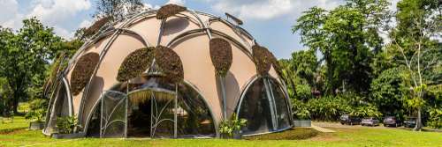 Yuk Jelajah Hidden Gem di Kebun Raya Bogor, Xperience Team