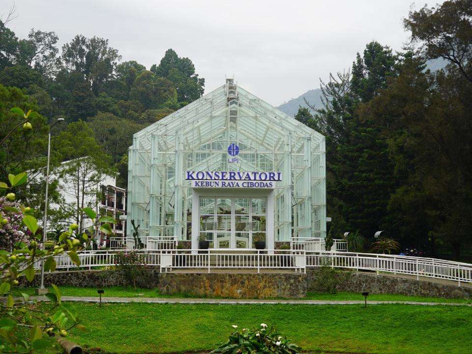 Liburan ke Cianjur, Yuk Lihat Pesona Sakura di Kebun Raya Cibodas, Xperience Team