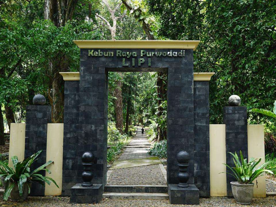 Ajak Keluarga Wisata Edukatif ke Kebun Raya Purwodadi, Xperience Team