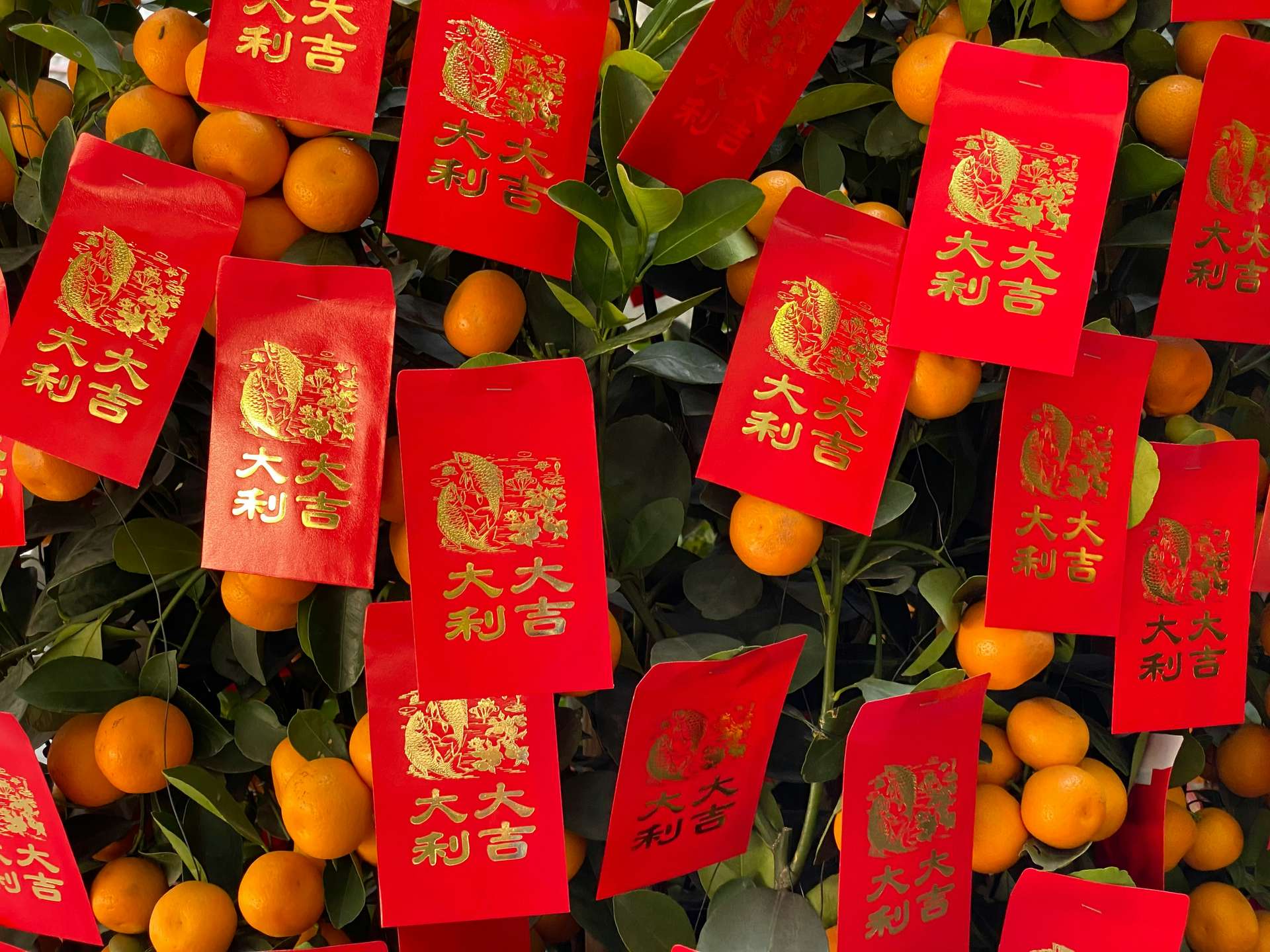 2026 蛇年 | 农历新年的由来及意义, 阅读时间不到 1 分钟