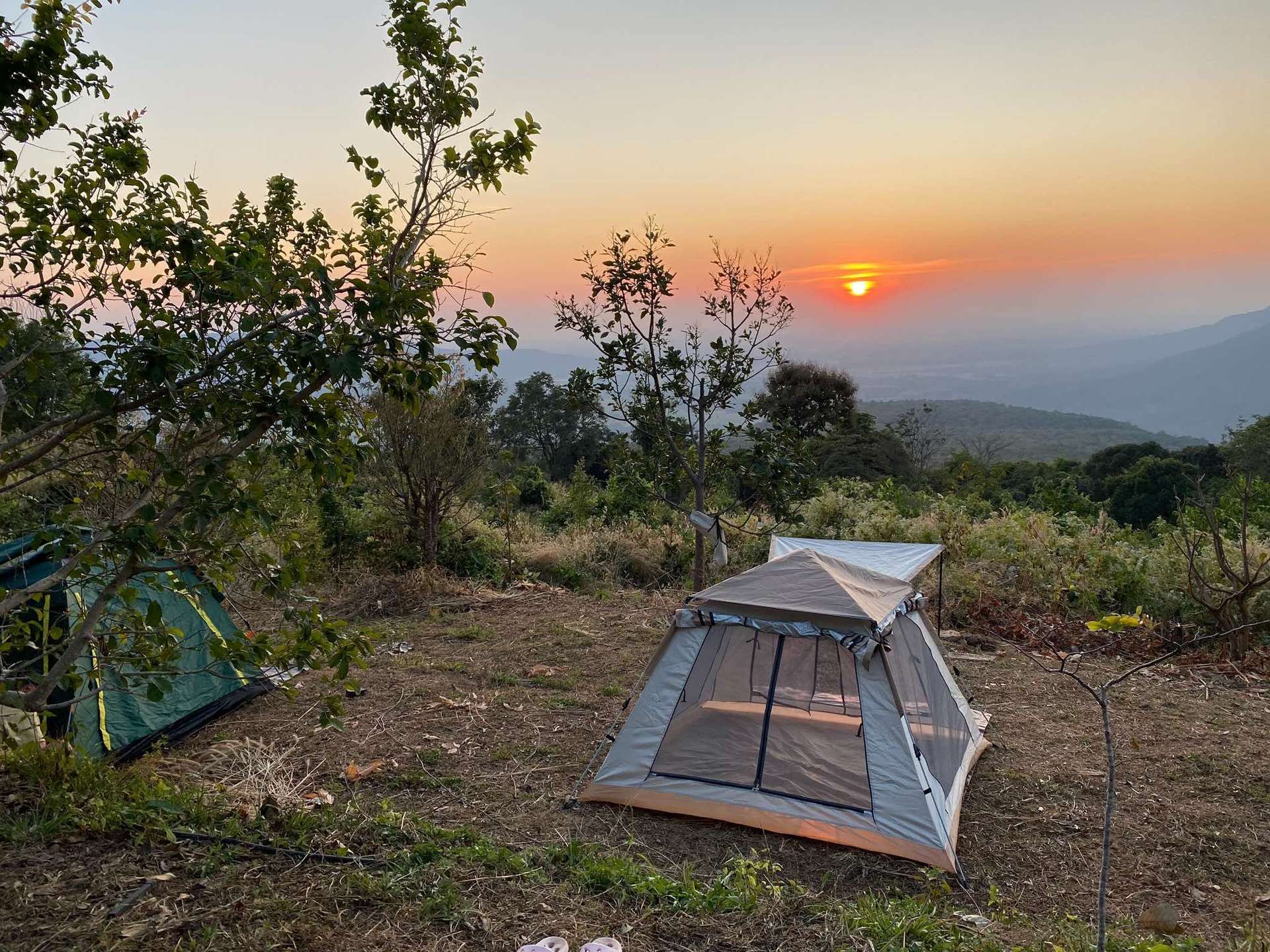 Phongtang garden Hill Homestay