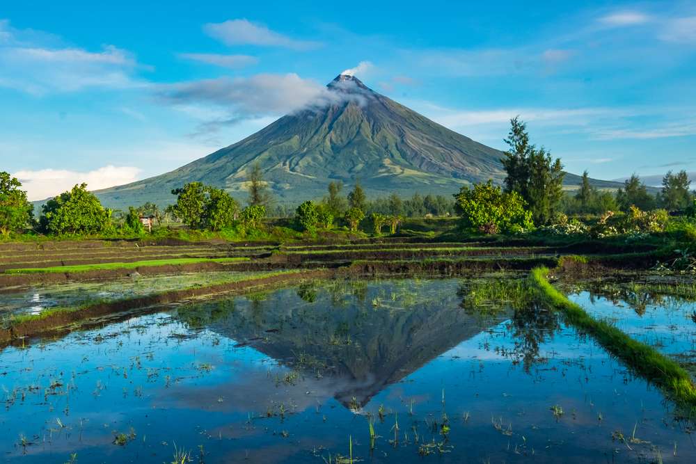 Filipino Cuisine Guide: Must-Try Dishes & Street Food
, Global Traveller