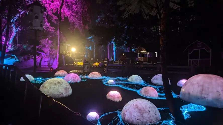 5 Wisata Malam Salatiga yang Unik dan Populer untuk Dikunjungi, Mas Bellboy