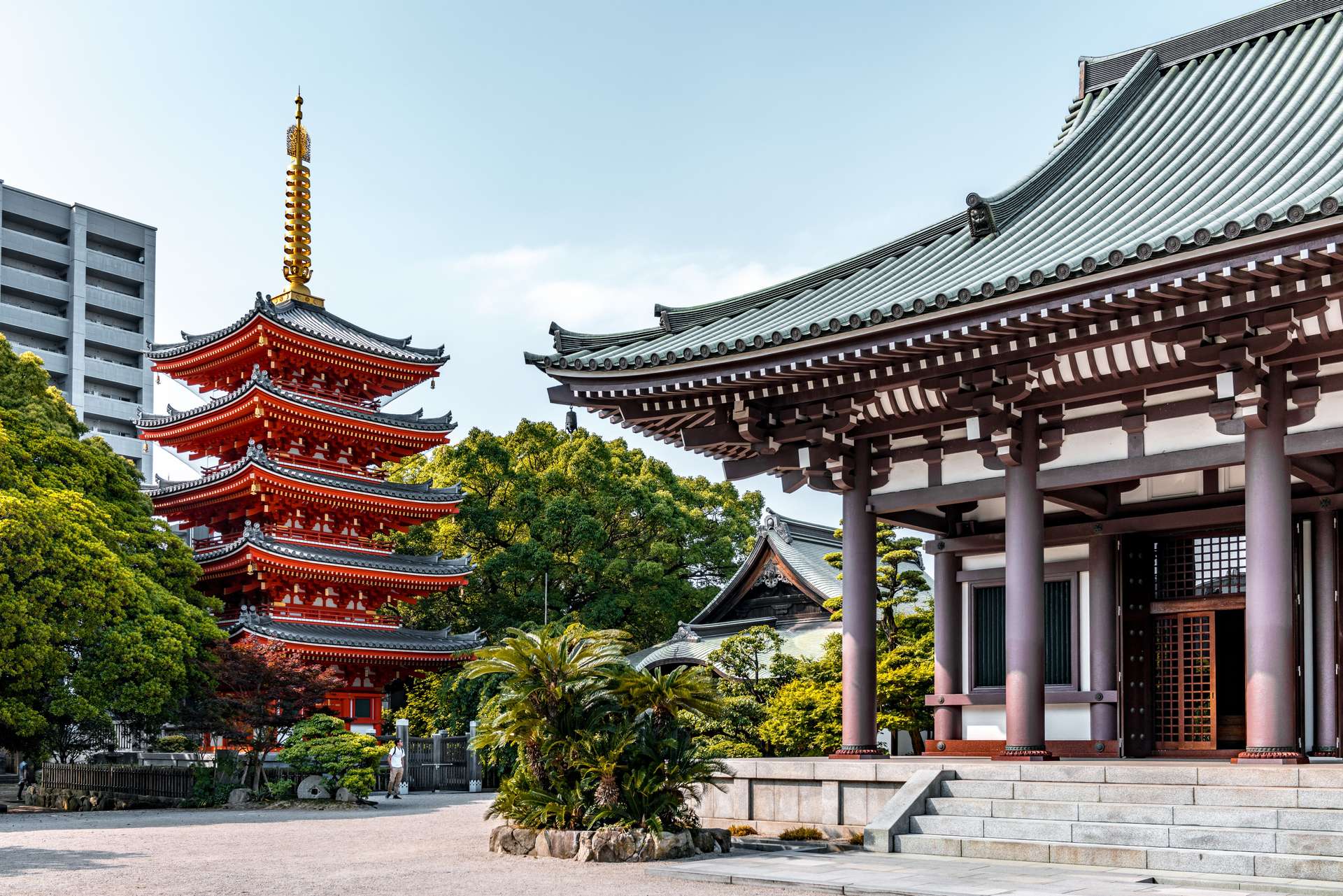 Hành Trình Ẩm Thực Kyushu 7 Ngày: Khám Phá Những Hương Vị Khó Quên của Nhật Bản, 10 min read