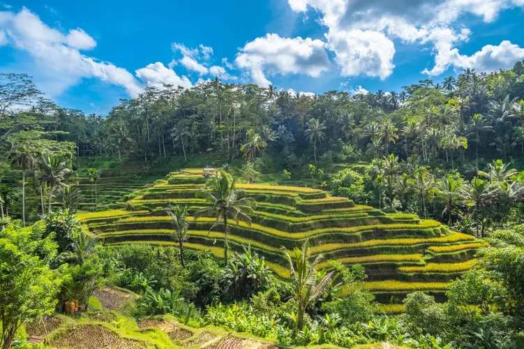 7 Best Ubud Beach Clubs & Riverside Escapes Near Bali’s Cultural Heart, Traveloka Accomodation