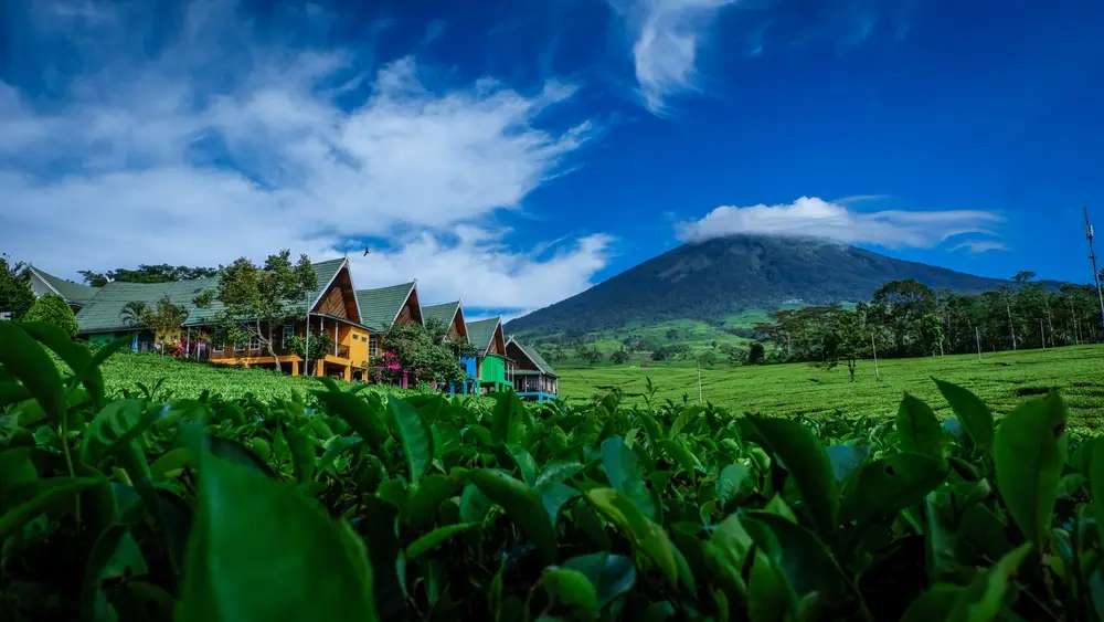 Tugu Rimau, Patung Harimau Berjubah Adat di Kaki Gunung Dempo, Mas Bellboy