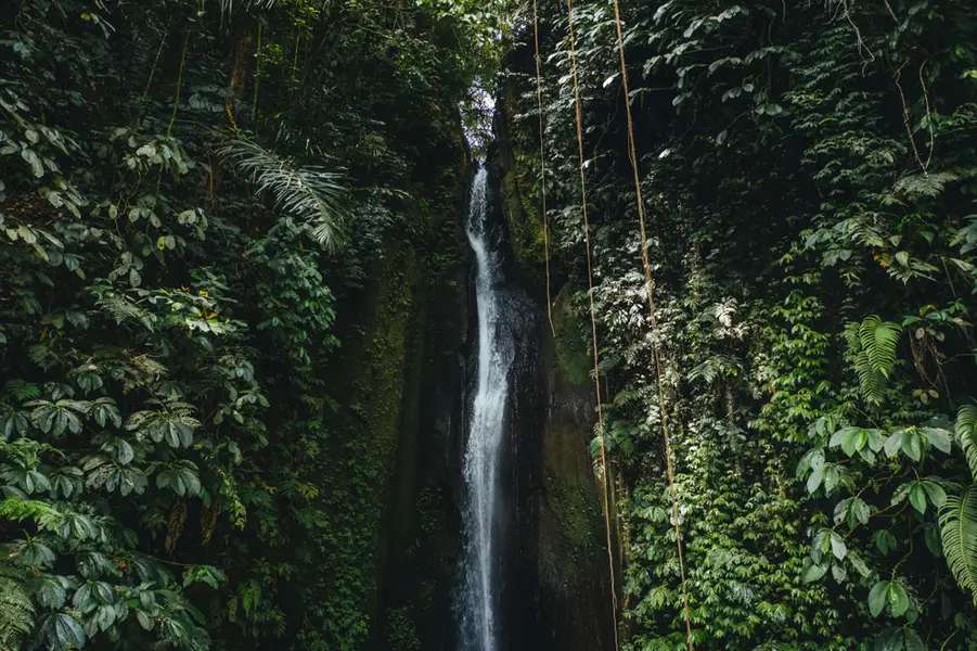 Leke Leke Waterfall: A Peaceful Jungle Escape in Bali, Traveloka MY