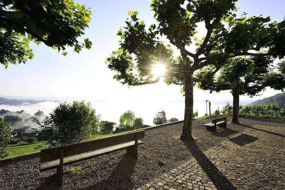 arcona LIVING Schaffhausen 
