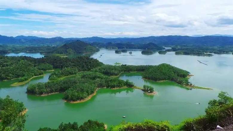 Pulau Semut Pekanbaru: Wisata Alam Asri di Tepi Sungai Siak, Waktu baca 5 menit