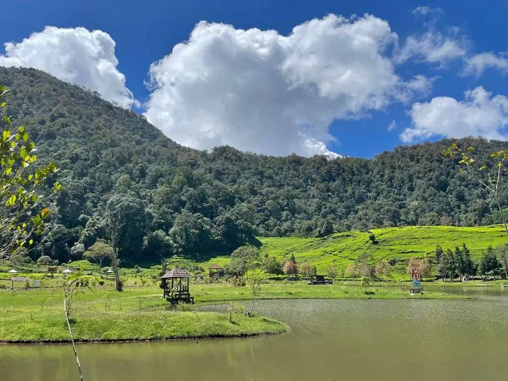 Situ Tunggilis: Daya Tarik, Lokasi, dan Info Penting Lainnya, Waktu baca 4 menit
