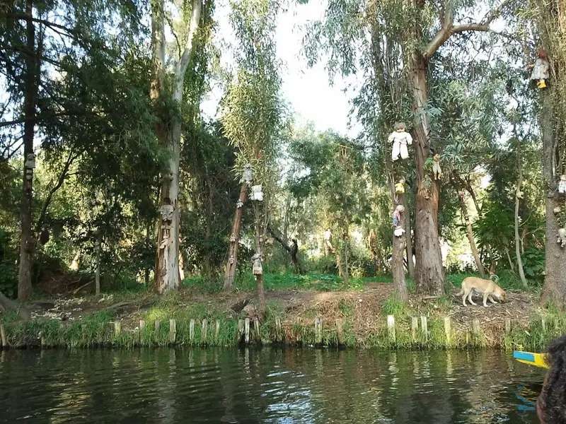 Misteri Pulau Boneka Meksiko: Panduan Tur Asli Xochimilco dan Hotel, Traveloka Accomodation