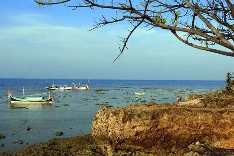 Pulau Babi, NTT: Keindahan Alam dan Kisah di Baliknya, Traveloka Accomodation