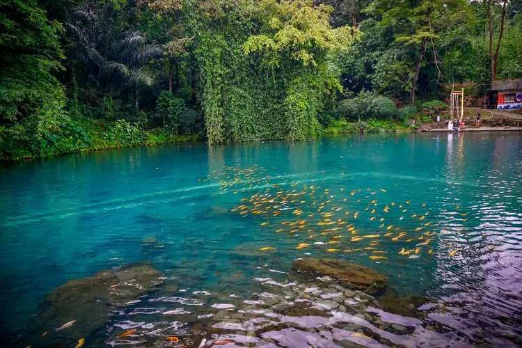 Situ Janawi Majalengka: Rute, Harga Tiket, dan Daya Tarik Wisata Alamnya, Traveloka Accomodation