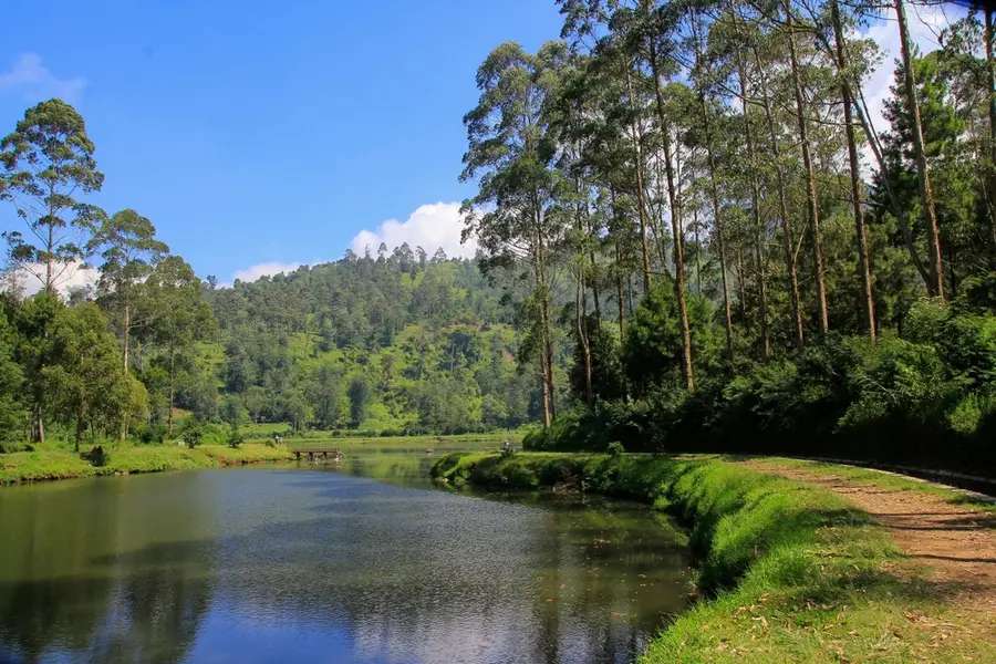 Menjelajah Keindahan Situ Sengon: Oase Hijau di Tengah Kota Sumedang, Traveloka Accomodation