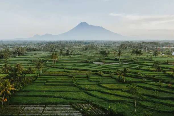 Panduan Wisata Grojogan Watu Purbo Sleman: Daya Tarik, Lokasi, dan Tips Berkunjung, Traveloka Accomodation