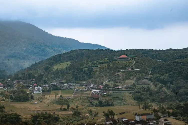 Bukit Mawar Kiram: Lokasi, Harga Tiket, dan Daya Tarik Perbukitan Pinus di Kabupaten Banjar, Waktu baca 3 menit