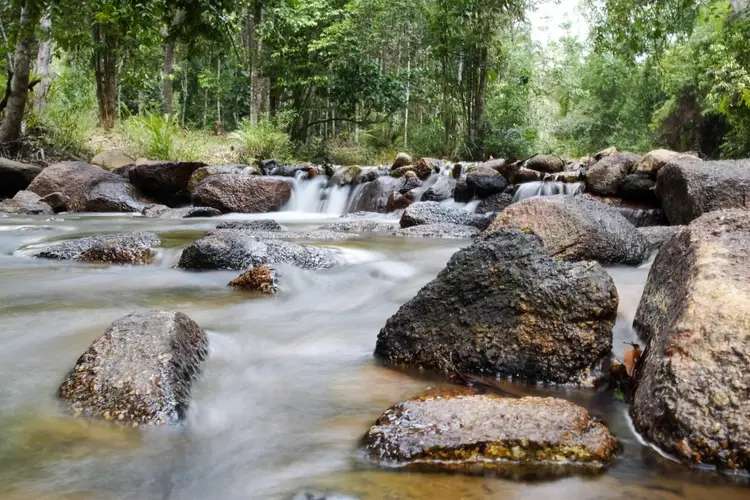 Curug Gringsing, Permata Alam Pacitan yang Asri dan Memukau, Traveloka Accomodation