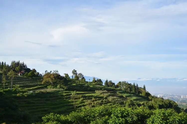 Bukit Babi Kapuas Hulu: Panorama Danau Sentarum dari Dusun Kedungkang, Waktu baca 4 menit