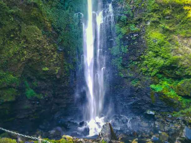 Coban Rondo Waterfall: A Beautiful Nature Getaway in East Java, Traveloka MY