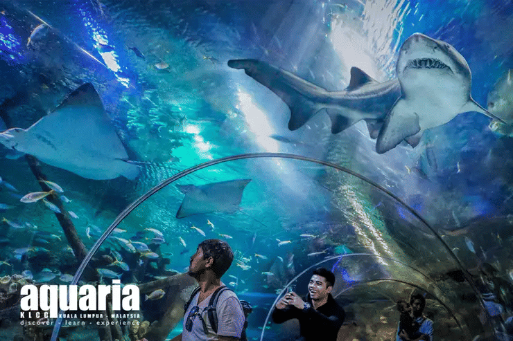 How to Go to Aquaria KLCC: MRT, LRT, Bus & Walking Routes, Traveloka MY