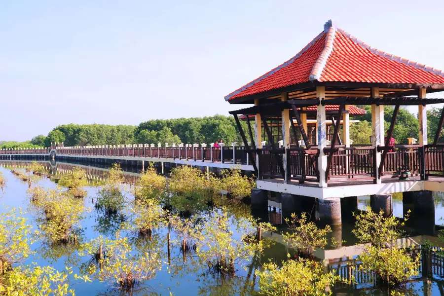 Kali Paingan Pekalongan: Nikmati Serunya Camping di Tepian Sungai, Traveloka Team
