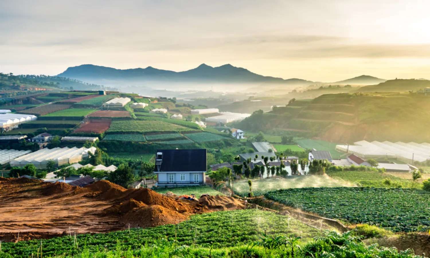 tour du lịch Lâm Đồng