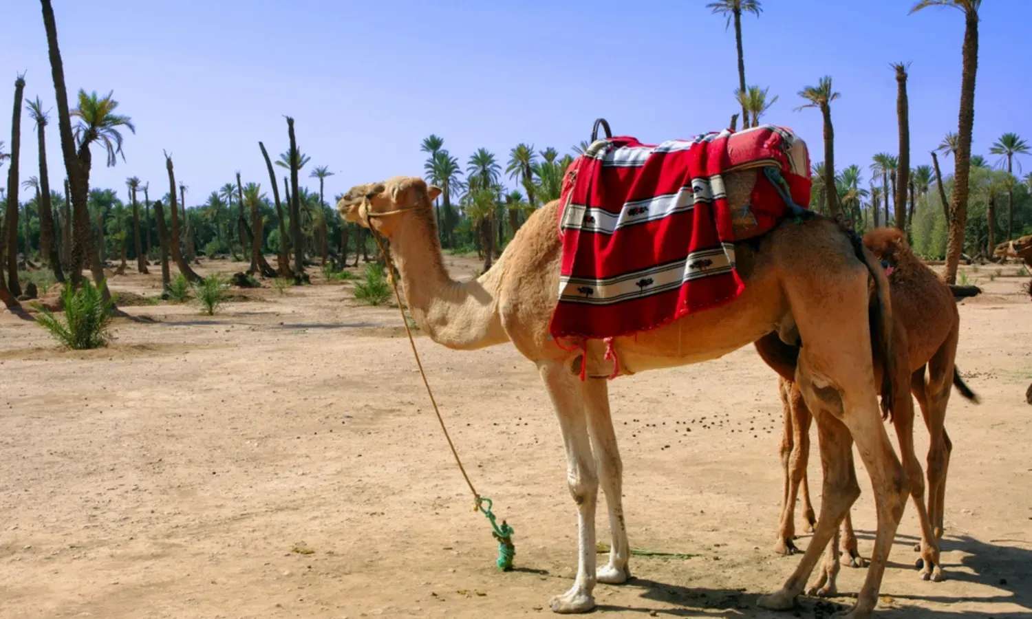 Morocco có gì chơi