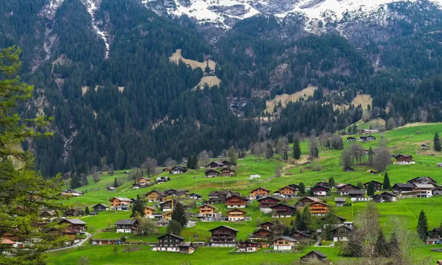 du lịch Grindelwald