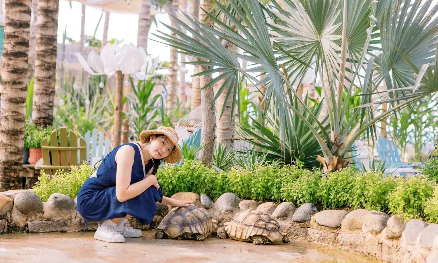 vé mango beach phan thiết